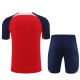Atlético Madrid Treningstrøye Dress 2023-24 - Rød