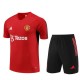 Barn Manchester United Treningstrøye Dress 2023-24 - Shorts Rød