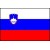 EM 2024 Slovenia