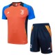 Juventus Treningstrøye Dress 2024-25 - Shorts Orange Blå