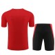 Manchester United Treningstrøye Dress 2023-24 - Rød