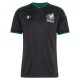 Mexico VM Tredjedrakt 2026