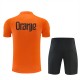 Nederland Treningsdrakt + Shorts Barn 2026-27 Orange