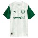 Palmeiras Bortedrakt 2025-2026 Fotballdrakter