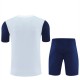 Tottenham Hotspur Trenings-T-skjortedress 2025-26 - Shorts Grå