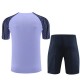 Tottenham Hotspur Treningstrøye Dress 2023-24 - Purple